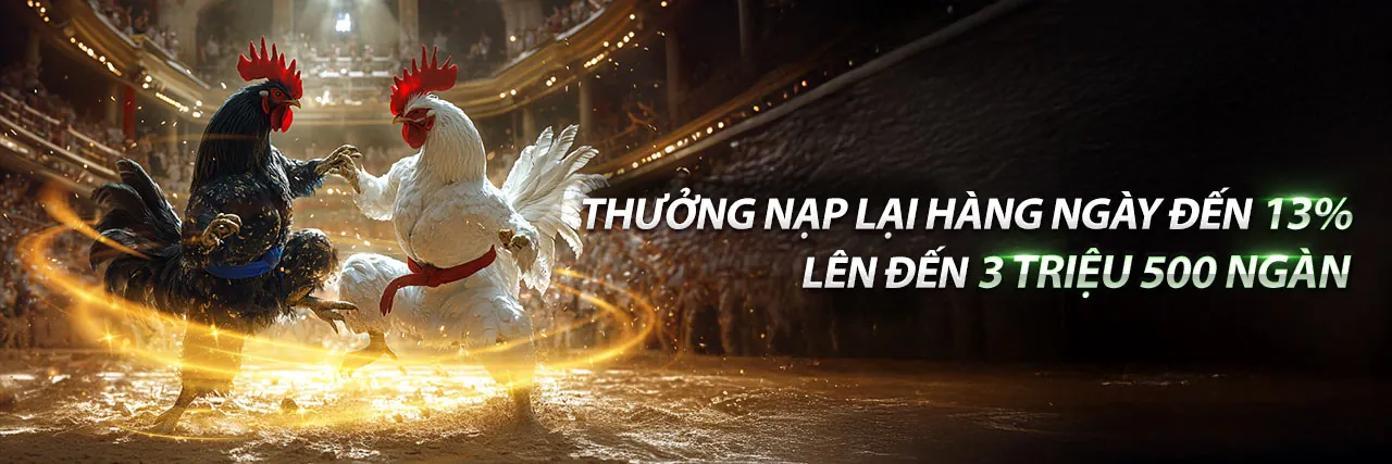 Giao diện đá gà trực tuyến 66biz