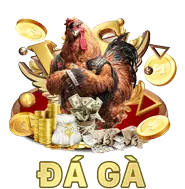 Đá gà 66biz